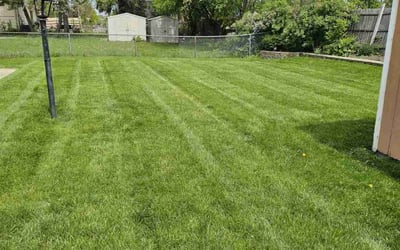Photo of Ricardo F.'s yard after getting lawn care in Lombard, IL