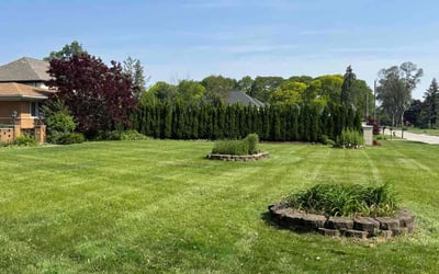 Photo of Sy H.'s yard after getting lawn care in Villa Rica, GA