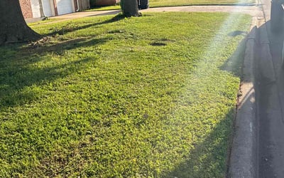 Photo of Dennis M.'s yard after getting lawn care in West Sacramento, CA