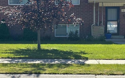 Photo of Dennis H.'s yard after getting lawn care in Sandy, UT