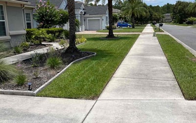 Photo of Anthony M.'s yard after getting lawn care in Santa Maria, CA