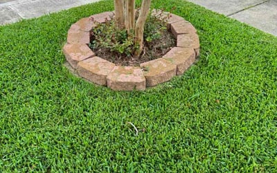 Photo of Britton M.'s yard after getting lawn care in Wheeling, WV
