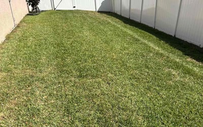 Photo of Kristy P.'s yard after getting lawn care in Tarpon Springs, FL