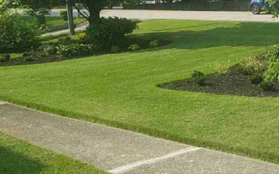 Photo of Charity W.'s yard after getting lawn care in Saginaw, MI