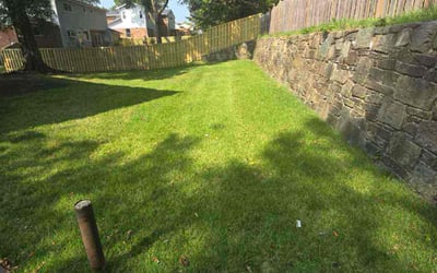Photo of Tracy G.'s yard after getting lawn care in Laurel, MD