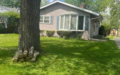 Photo of Chiquita C.'s yard after getting lawn care in Palatine, IL