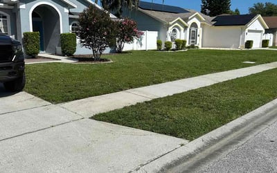 Photo of Mario C.'s yard after getting lawn care in New Port Richey, FL