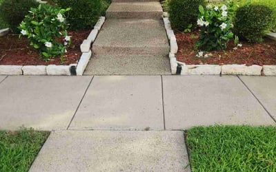 Photo of Ursula U.'s yard after getting lawn care in Pico Rivera, CA