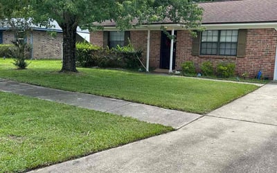 Photo of Manuel S.'s yard after getting lawn care in Laguna Hills, CA