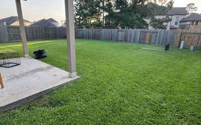 Photo of Daniel B.'s yard after getting lawn care in San Jose, CA