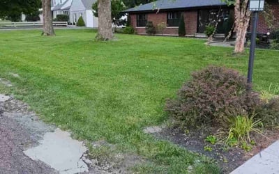 Photo of Craig W.'s yard after getting lawn care in Belleville, IL
