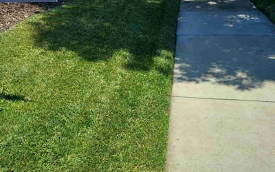 Photo of Bruce G.'s yard after getting lawn care in Middletown, NY