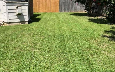 Photo of Cameron B.'s yard after getting lawn care in Eustis, FL