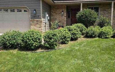 Photo of Cheryl L.'s yard after getting lawn care in Mooresville, IN