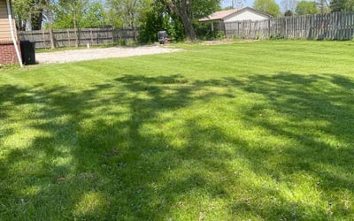 Photo of Jada R.'s yard after getting lawn care in Plainfield, IN