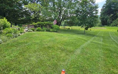Photo of Robert A.'s yard after getting lawn care in West Columbia, SC