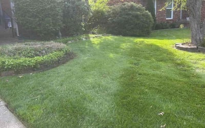 Photo of Jessica S.'s yard after getting lawn care in Crestwood, KY