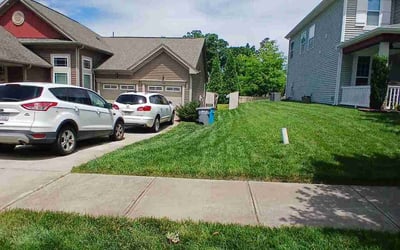 Photo of Carol W.'s yard after getting lawn care in Belmont, MA