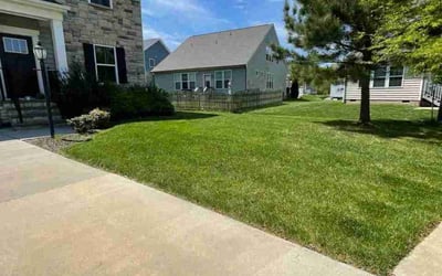 Photo of Carla S.'s yard after getting lawn care in Mechanicsville, VA
