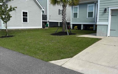 Photo of Edward W.'s yard after getting lawn care in Bluffton, SC
