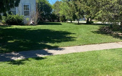 Photo of Rosemary D.'s yard after getting lawn care in Lake Villa, IL