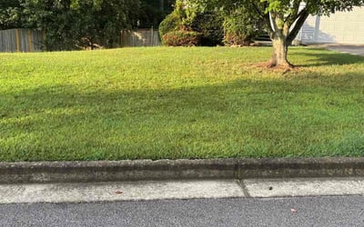 Photo of Jay H.'s yard after getting lawn care in Lafayette, IN