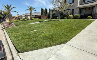 Photo of Pamela H.'s yard after getting lawn care in Tracy, CA