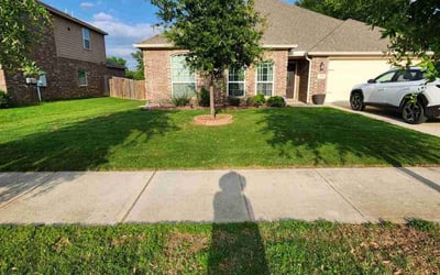 Photo of Nicole P.'s yard after getting lawn care in Lake Forest, CA