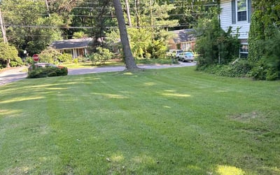 Photo of Johanna Z.'s yard after getting lawn care in Franklinton, NC