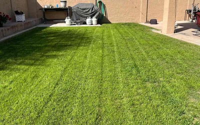 Photo of Brenda L.'s yard after getting lawn care in Tempe, AZ