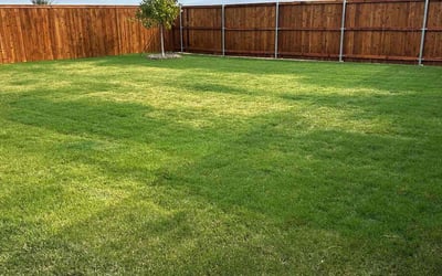 Photo of Yiesenia M.'s yard after getting lawn care in Sherman, TX