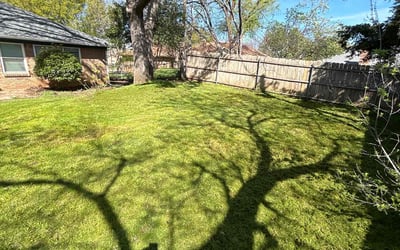 Photo of Scott H.'s yard after getting lawn care in North Richland Hills, TX