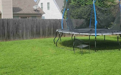 Photo of Calvin A.'s yard after getting lawn care in Newnan, GA