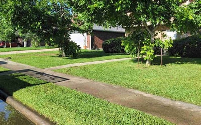 Photo of Carla C.'s yard after getting lawn care in Stafford, TX