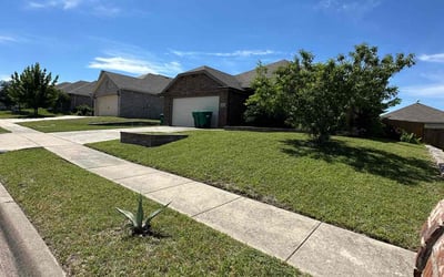 Photo of Michelle H.'s yard after getting lawn care in Quinlan, TX