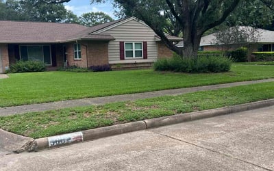 Photo of Judith M.'s yard after getting lawn care in Sweeny, TX