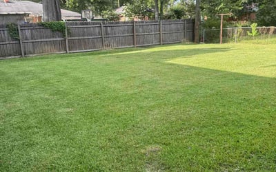 Photo of Jesca J.'s yard after getting lawn care in White House, TN