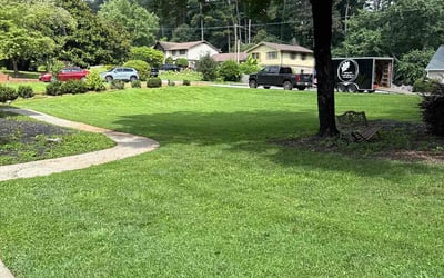 Photo of Adriana B.'s yard after getting lawn care in Montclair, NJ