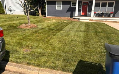 Photo of Madi S.'s yard after getting lawn care in Lake Stevens, WA