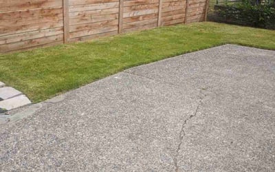 Photo of Anastasia S.'s yard after getting lawn care in Seattle, WA