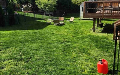 Photo of Lorraine H.'s yard after getting lawn care in Belmont, NC