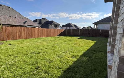 Photo of Daniela P.'s yard after getting lawn care in Rex, GA
