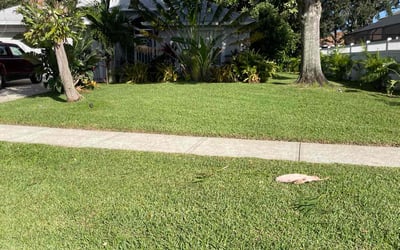 Photo of Rochelle W.'s yard after getting lawn care in Rockledge, FL