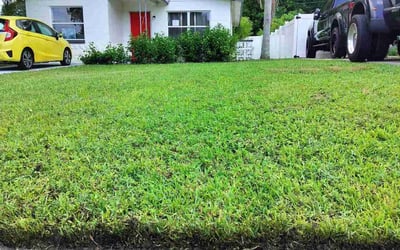 Photo of Dominic R.'s yard after getting lawn care in Huntington, NY