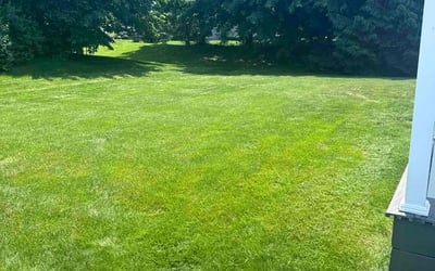 Photo of Martin H.'s yard after getting lawn care in Stow, OH