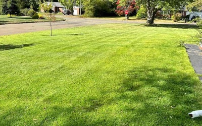 Photo of John M.'s yard after getting lawn care in Branford, CT