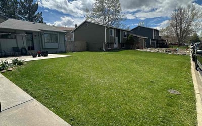 Photo of Jennings H.'s yard after getting lawn care in Arvada, CO