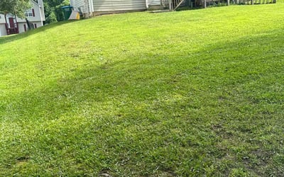 Photo of Janet M.'s yard after getting lawn care in Austell, GA