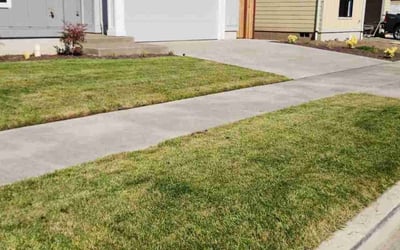 Photo of Rita B.'s yard after getting lawn care in Eugene, OR