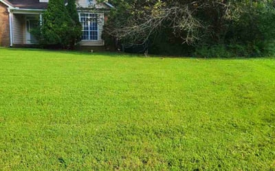 Photo of Keke J.'s yard after getting lawn care in Macon, GA